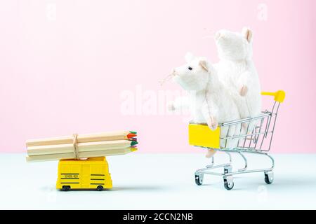 Back to school Composition with yellow school bus model with wooden colour pencils and two white mouse in the shopping cart on pink background. Transp Stock Photo