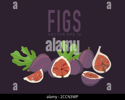 Vector illustration of figs, whole and in section. Ripe fruits.  Stock Vector