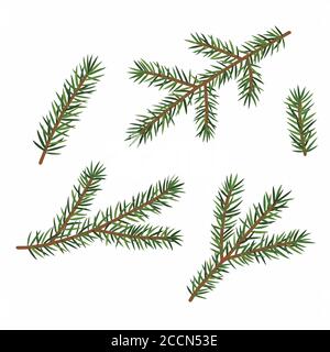 Set of evergreen branches, pine tree, fir, spruce coniferous plants.  Illustration of christmas floral decorations isolated on white background.  Retro drawing style 15285084 Vector Art at Vecteezy