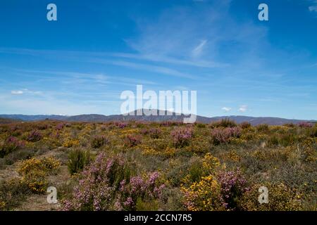 Springtime landsape in Galicia, Spain Stock Photo