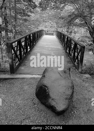 Wooden footbridge crossing a stream in the Great Smoky Mountains along the Gatlinburg Trail in Black & White Stock Photo