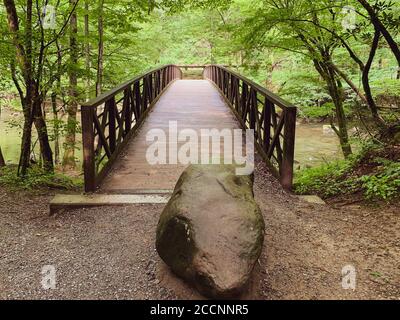 Wooden footbridge crossing a stream in the Great Smoky Mountains along the Gatlinburg Trail Stock Photo