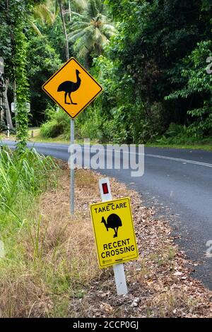 Yellow signs announcing free cassowaries in the area with black silhouettes. Take care, recent crossing.  The biggest bird of Australia. Etty bay Stock Photo