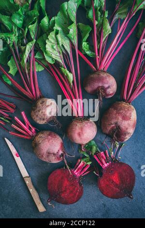 Beta vulgaris . Homegrown harvested red beetroots Stock Photo