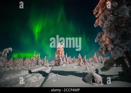 Northern Lights - Aurora borealis over snow-covered forest. Beautiful picture of massive multicoloured green vibrant Aurora Borealis, Aurora Polaris, Stock Photo