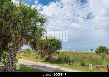 Siesta Key Beach on a beautiful summer day with palm trees, ocean and blue cloudy sky in Florida Stock Photo