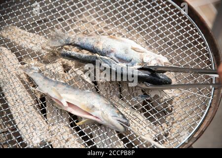 Grilled Rainbow Trout and Seema on Skewer Stock Photo