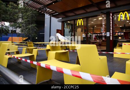 Sydney. 30th Mar, 2020. Photo taken on March 30, 2020 shows a seagull on a McDonald's restaurant table at Darling Harbour in Sydney, Australia. Australia's tourism industry lost about 5.8 billion Australian dollars (4.02 billion U.S. dollars) in the first three months of 2020 as the coronavirus pandemic took hold. Credit: Bai Xuefei/Xinhua/Alamy Live News Stock Photo