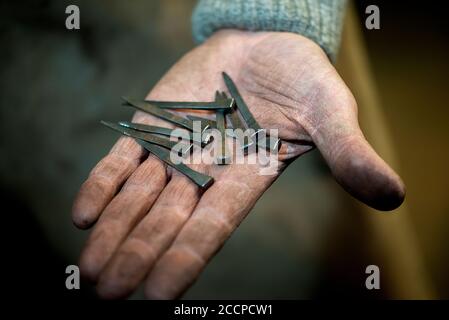 Close-up a dirty blacksmith's hand holds a nails for horseshoe Stock Photo