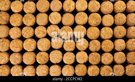 A lot of rows different wooden champagne or wine corks from cork tree. Use as pattern or background. Top view. Flat lay. Close-up. Macro view. Stock Photo