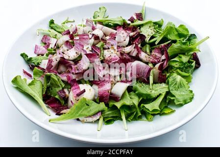 Fresh mixed lettuce salad in a dish isolated on white background Stock Photo