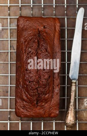homemade chocolate pound cake loaf on the baking sheet.  Delicious dessert.  Selective focus, top view Stock Photo