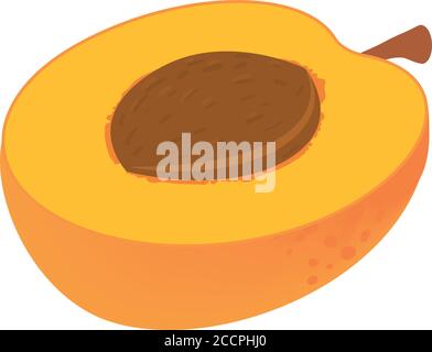Half apricot icon. Isometric of half apricot vector icon for web design isolated on white background Stock Vector