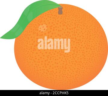 Whole grapefruit icon. Isometric of whole grapefruit vector icon for web design isolated on white background Stock Vector
