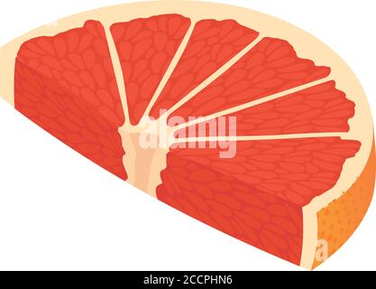 Slice grapefruit icon. Isometric of slice grapefruit vector icon for web design isolated on white background Stock Vector