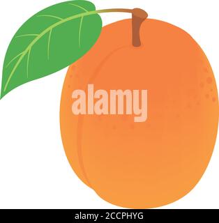 Whole apricot icon. Isometric of whole apricot vector icon for web design isolated on white background Stock Vector