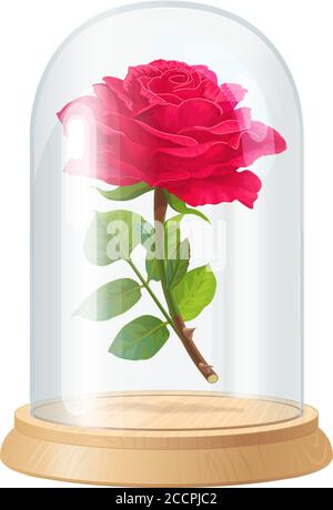 vector Beauty and Beast vintage rose, glass dome Stock Vector