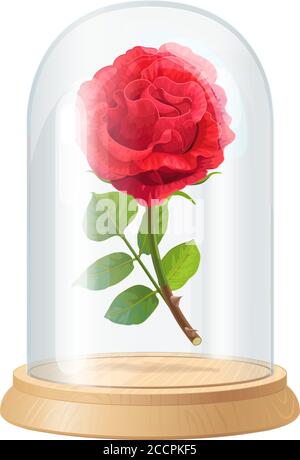 vector Beauty and Beast vintage rose, glass dome Stock Vector