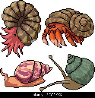 pixel art set isolated shell creature Stock Vector