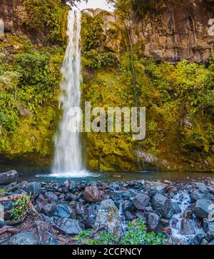 Dawson Falls plunges 16m in a double-barreled stream Stock Photo