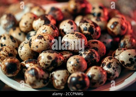 Quail eggs in a plate on the background of quails. Stock Photo