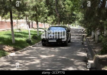 Car drives on alley between trees in the city, sunny day, front view Stock Photo