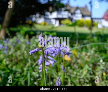 Bridgewater School, Drywood Hall, Worsley, Salford, Manchester Stock Photo