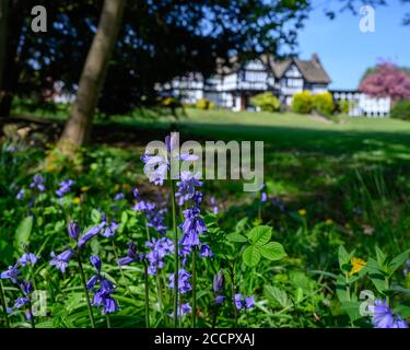 Bridgewater School, Drywood Hall, Worsley, Salford, Manchester Stock Photo