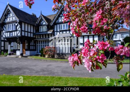 Bridgewater School, Drywood Hall, Worsley, Salford, Manchester Stock Photo