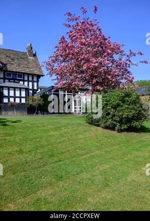 Bridgewater School, Drywood Hall, Worsley, Salford, Manchester Stock Photo