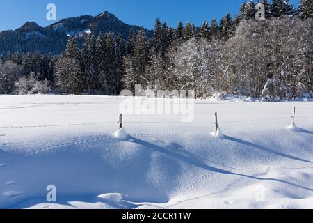 Winterlandschaft, Oberstdorf; Allgäu Stock Photo