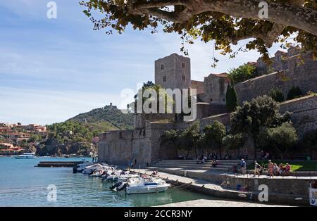 The Château Royal de Collioure in the picturesque seaside resort and harbour of Collioure, Southern France Stock Photo