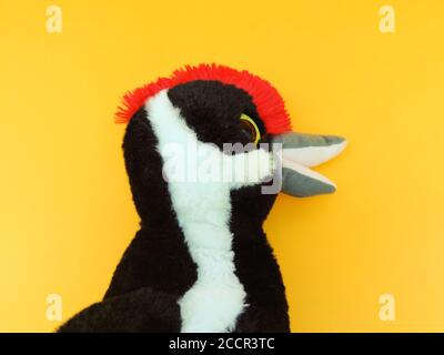 woodpecker, Soft plush toy animals isolated on orange background Stock Photo
