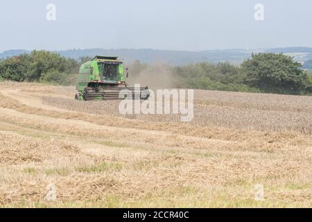Deutz-Fahr 4065 combine harvester cutting 2020 UK wheat crop on hot summer day & filling air with dust. Tine reel and operator cab visible. See NOTES