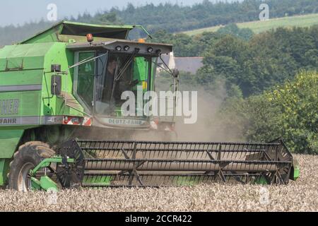 Deutz-Fahr 4065 combine harvester cutting 2020 UK wheat crop on hot summer day & filling air with dust. Tine reel and operator cab visible. See NOTES
