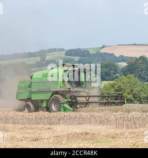Deutz-Fahr 4065 combine harvester cutting 2020 UK wheat crop on hot summer day & filling air with dust. Tine reel and operator cab visible. See NOTES.