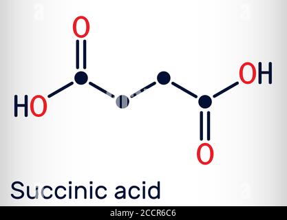 Succinic acid, butanedioic acid, C4H6O4 molecule. It is food additive E363.The anion, succinate, is component of citric acid or TCA. Skeletal chemical Stock Vector