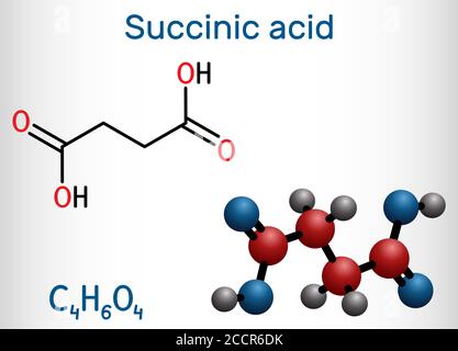 Succinic acid, butanedioic acid, C4H6O4 molecule. It is food additive E363.The anion, succinate, is component of citric acid or TCA. Structural chemic Stock Vector