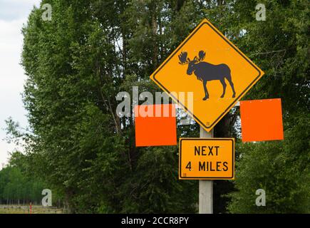 View of a moose crossing sign on the road in Grand Teton National Park in Wyoming, United States Stock Photo