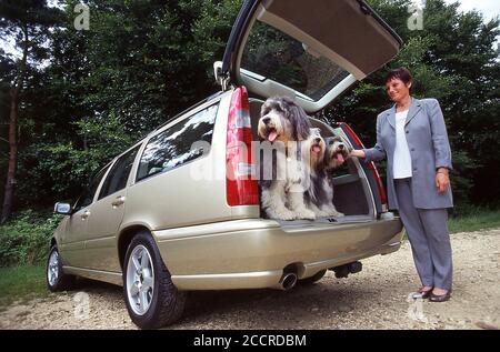 1999 Volvo 850 Estate car Stock Photo