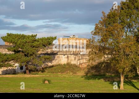 Bofors 40 mm anti-aircraft gun on the roof of at Coalhouse Fort, East Tilbury, Thurrock, Essex, UK. Wartime Bofors Gun in fortified gun emplacement Stock Photo