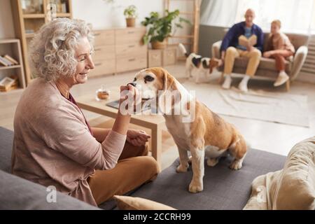 Warm toned portrait of smiling senior woman playing with loved pet dog while sitting on couch in cozy home interior with family in background, copy space