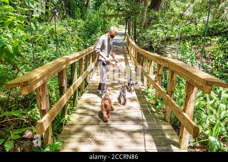 Orlando Florida,Lake Lawsona Historic District,Dickson Azalea Park,Carl T. Langford Park,Rosearden Drive,lush vegetation,shade,public park green space Stock Photo