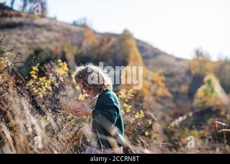 Small girl on a walk in nature, collecting rosehip fruit. Stock Photo