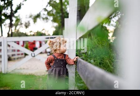 Small girl standing on farm. Copy space. Stock Photo