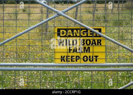 Warning sign: Danger Wild Boar Farm Keep Out attached to fence in field Stock Photo