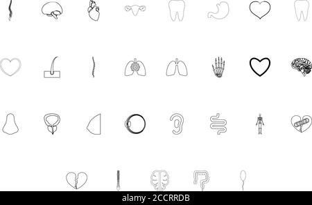Organs human black color set outline style vector illustration Stock Vector