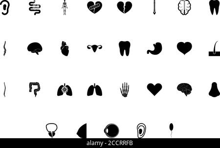 Organs of human concept outline black color set solid style vector illustration Stock Vector