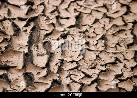 Dried slush. Texture cracked dirt. Selective focus. Macro. Stock Photo