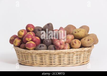 Types of potatoes - Peruvian potatoes still life Stock Photo
